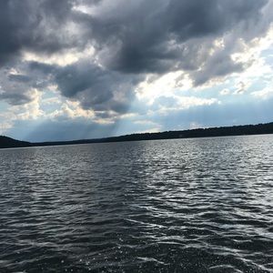 Meet your Posher, Avery